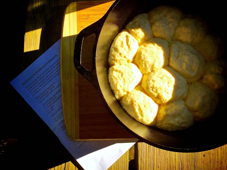 Sourdough Biscuits Rising © Nicole Geils